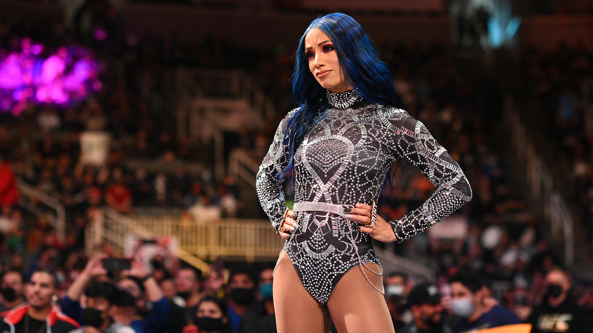 Sasha Banks Reportedly Released From WWE