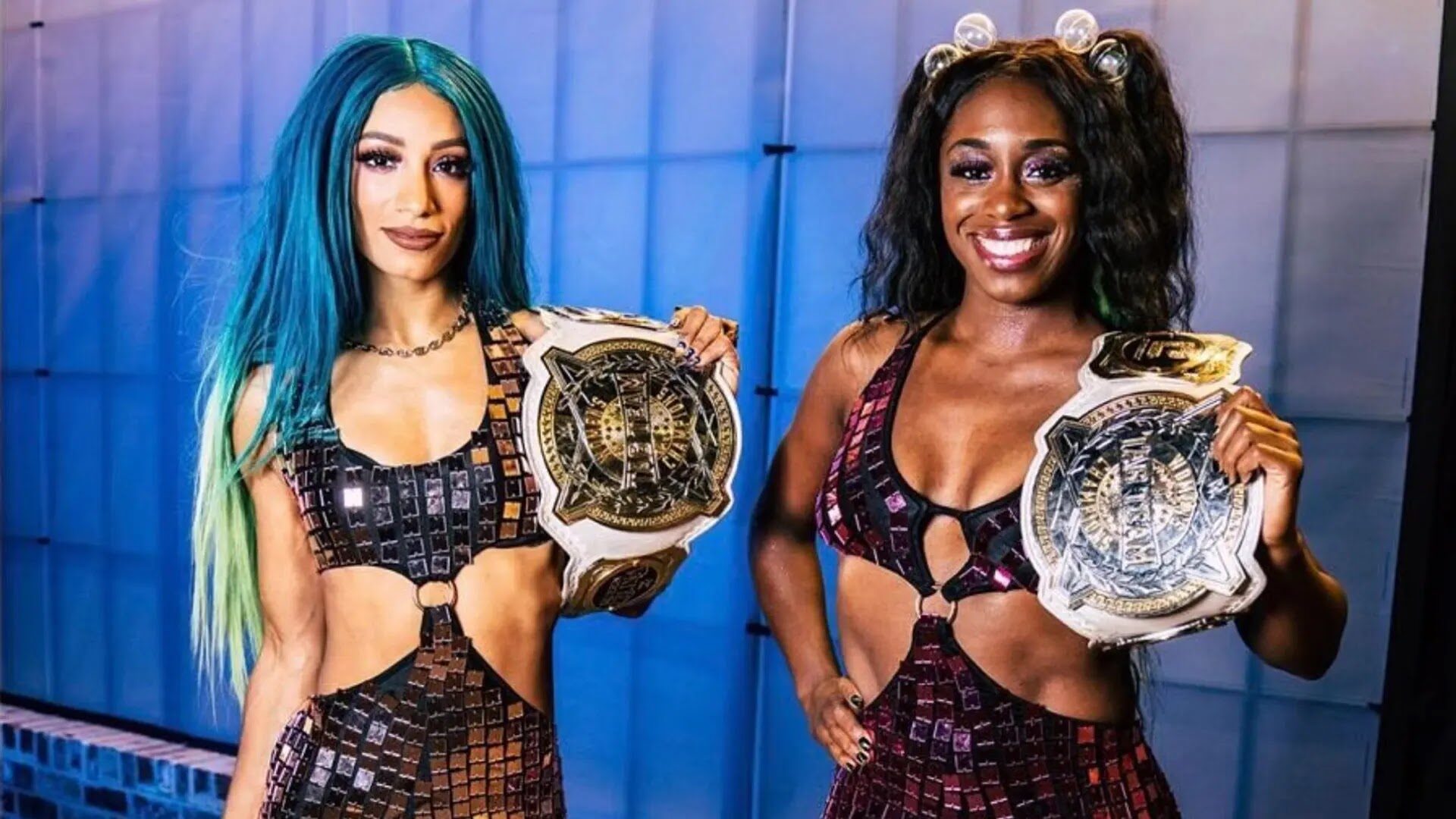 WWE Womens Tag Team Championship Tournament Announced
