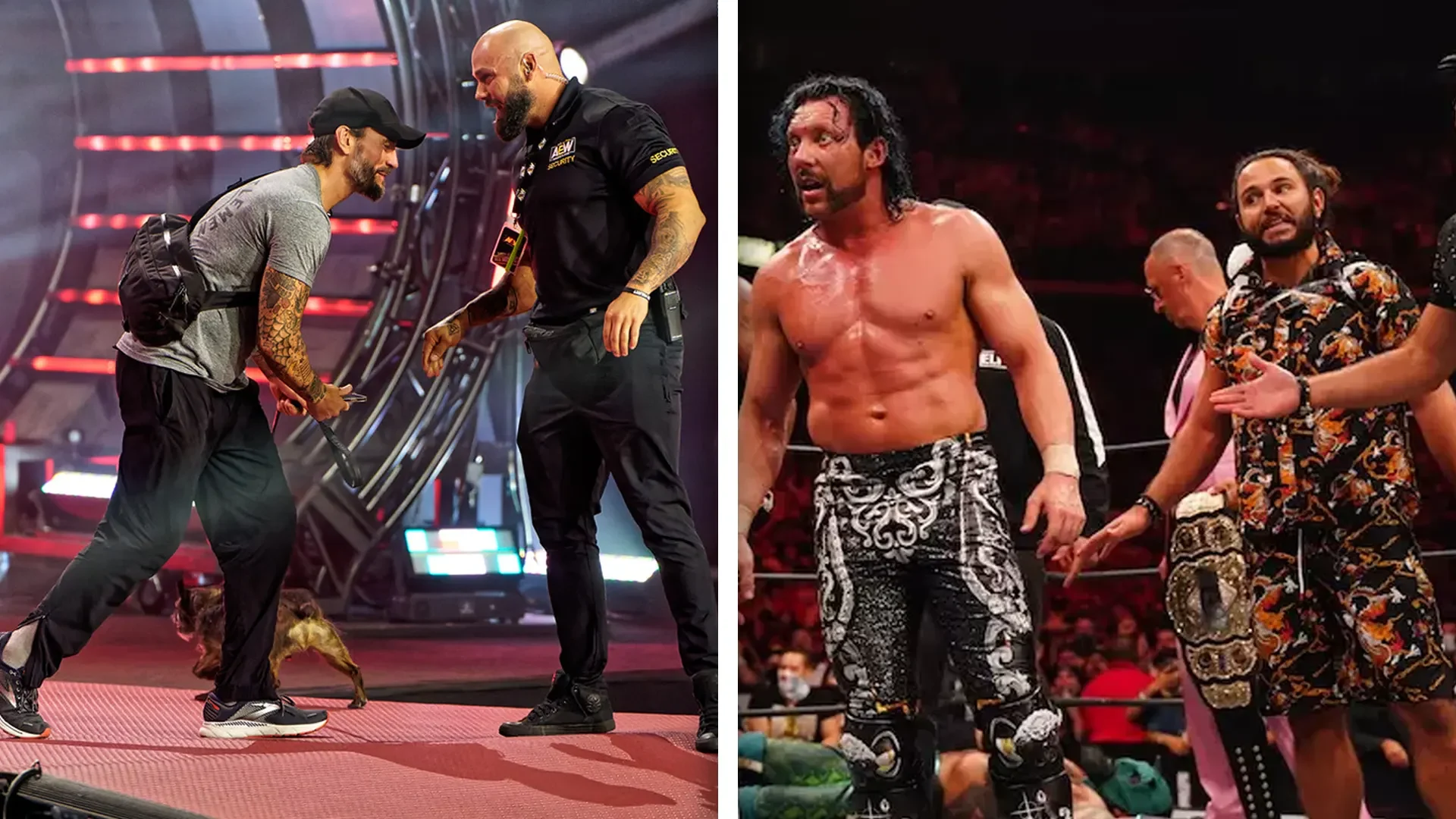 AEW All Out Backstage Fight Details, CM Punk's Dog 'Larry' Involved, The Elite's Side Of The Story