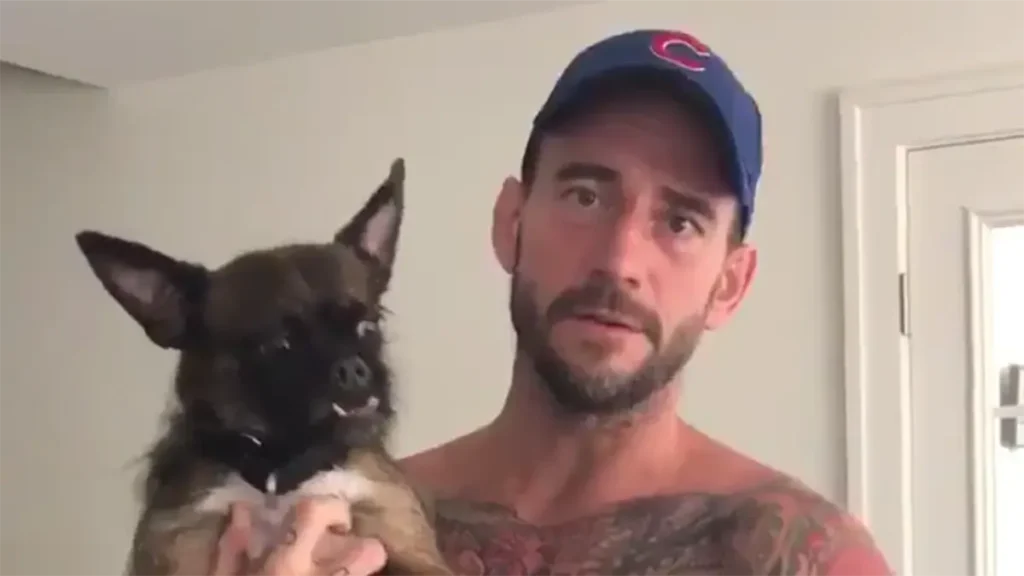 CM Punk's Dog Larry Injured During AEW All Out Backstage Fight